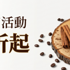 ILIFA 非洲醇香咖啡濾掛包 (10入盒裝) 非洲咖啡 阿拉比卡豆 精品咖啡系列